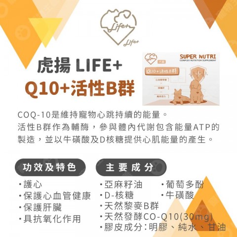 虎揚 Q10/活性B群【2024新包裝】